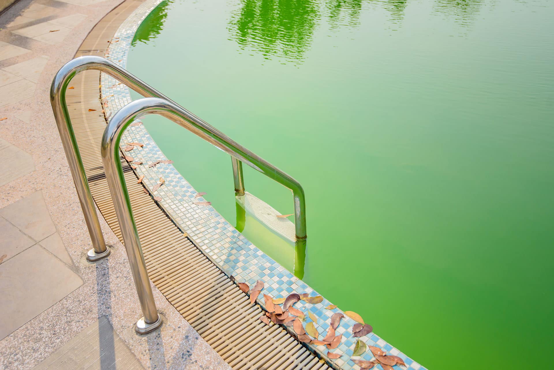 How Regular Pool Cleaning Prevents Algae